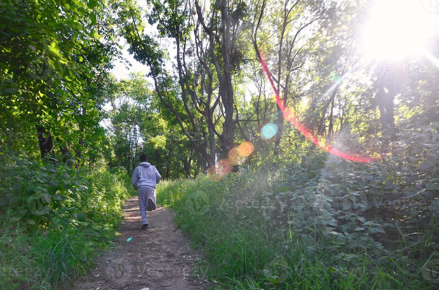 un' giovane tipo nel un' grigio gli sport completo da uomo corre lungo il sentiero tra il foto