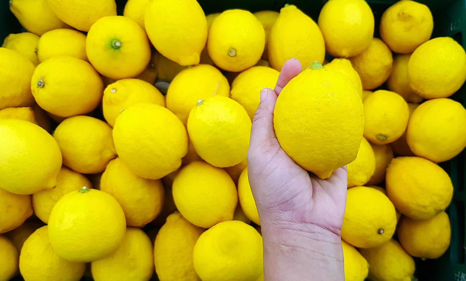 vicino su mano di persona Tenere Limone con copia spazio. selezione e scelta per acquistare migliore cibo, verdura o frutta a mercato o supermercato. foto