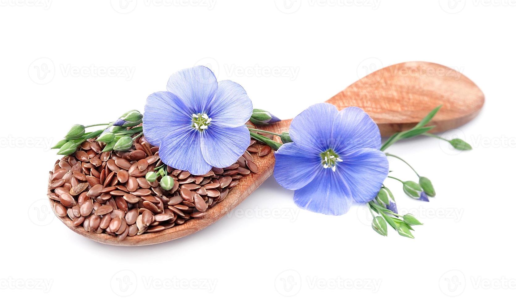 lino semi con fiori foto