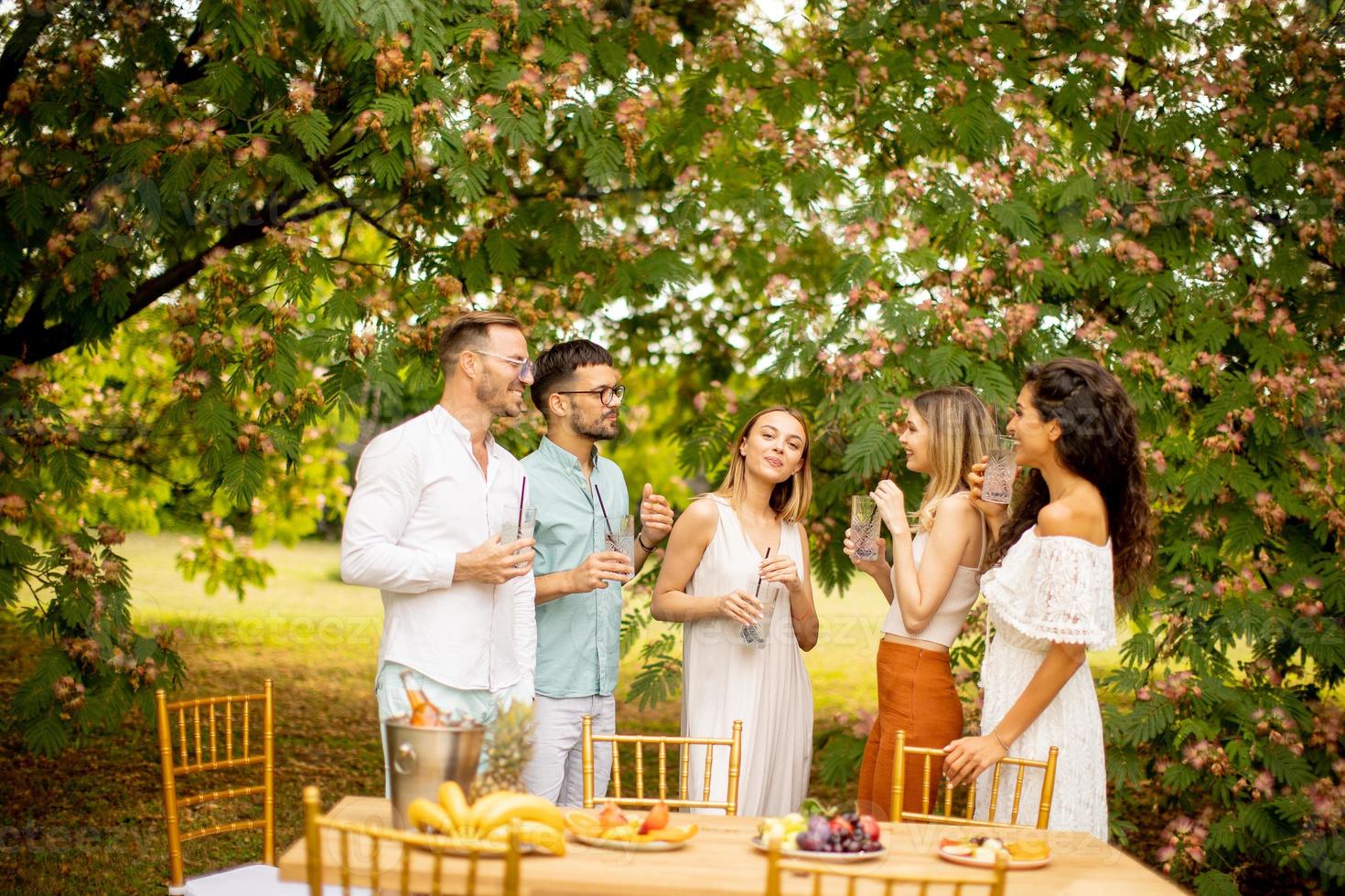 gruppo di contento giovane persone applauso con fresco limonata e mangiare frutta nel il giardino foto