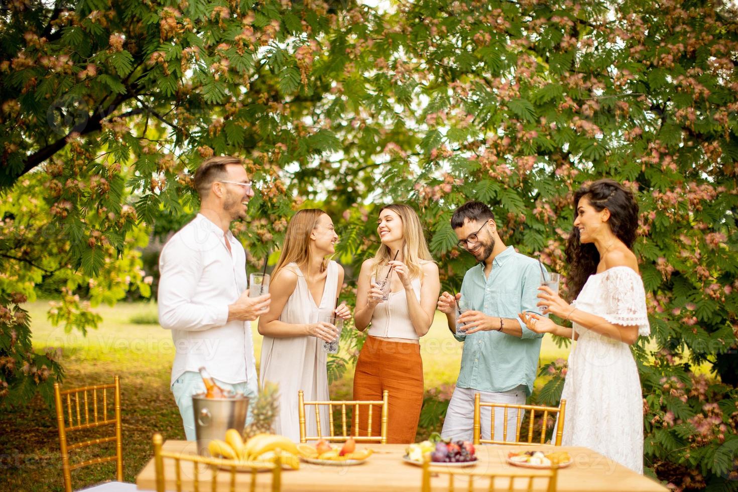 gruppo di contento giovane persone applauso con fresco limonata e mangiare frutta nel il giardino foto