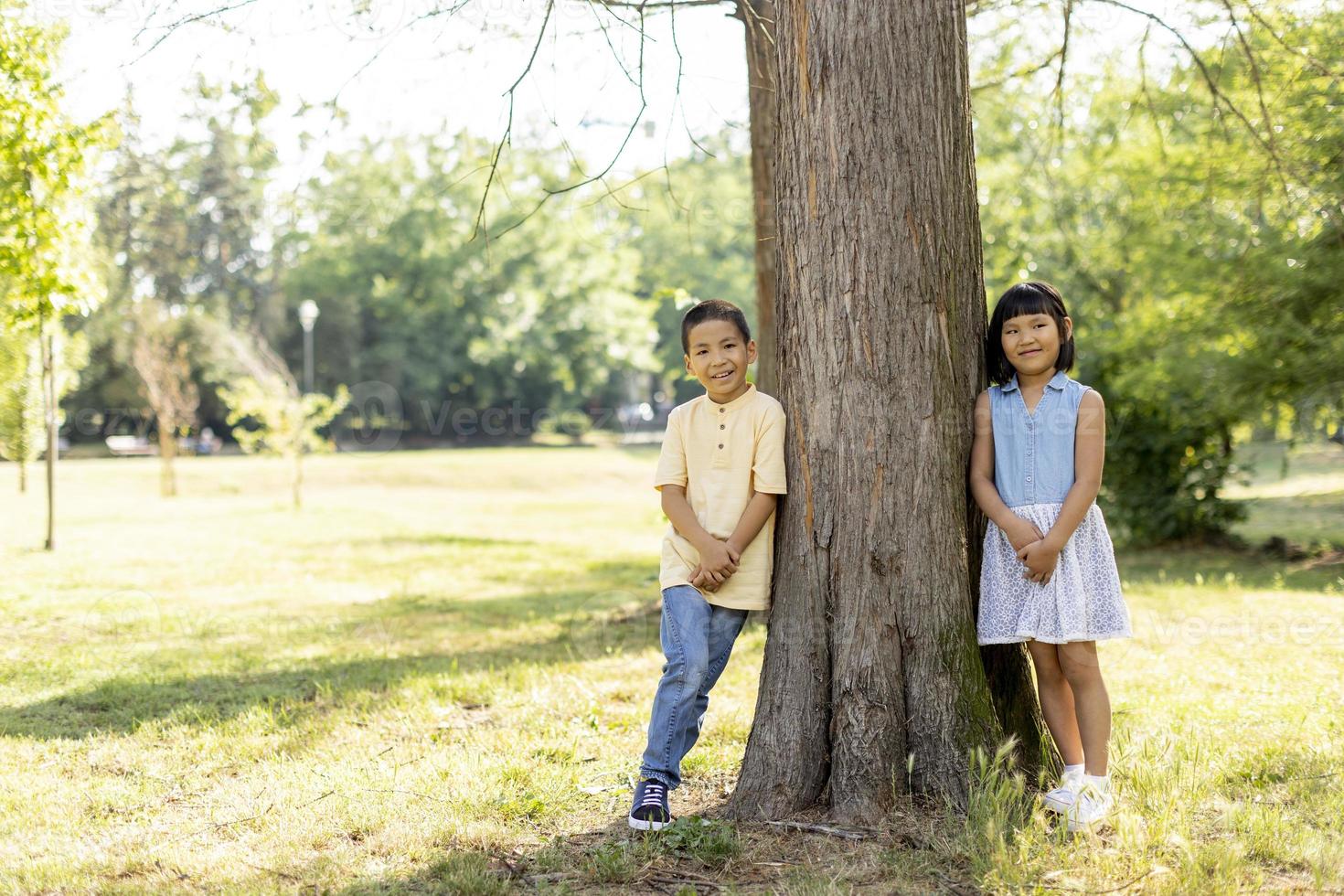 asiatico bambini in posa di il albero nel il parco foto