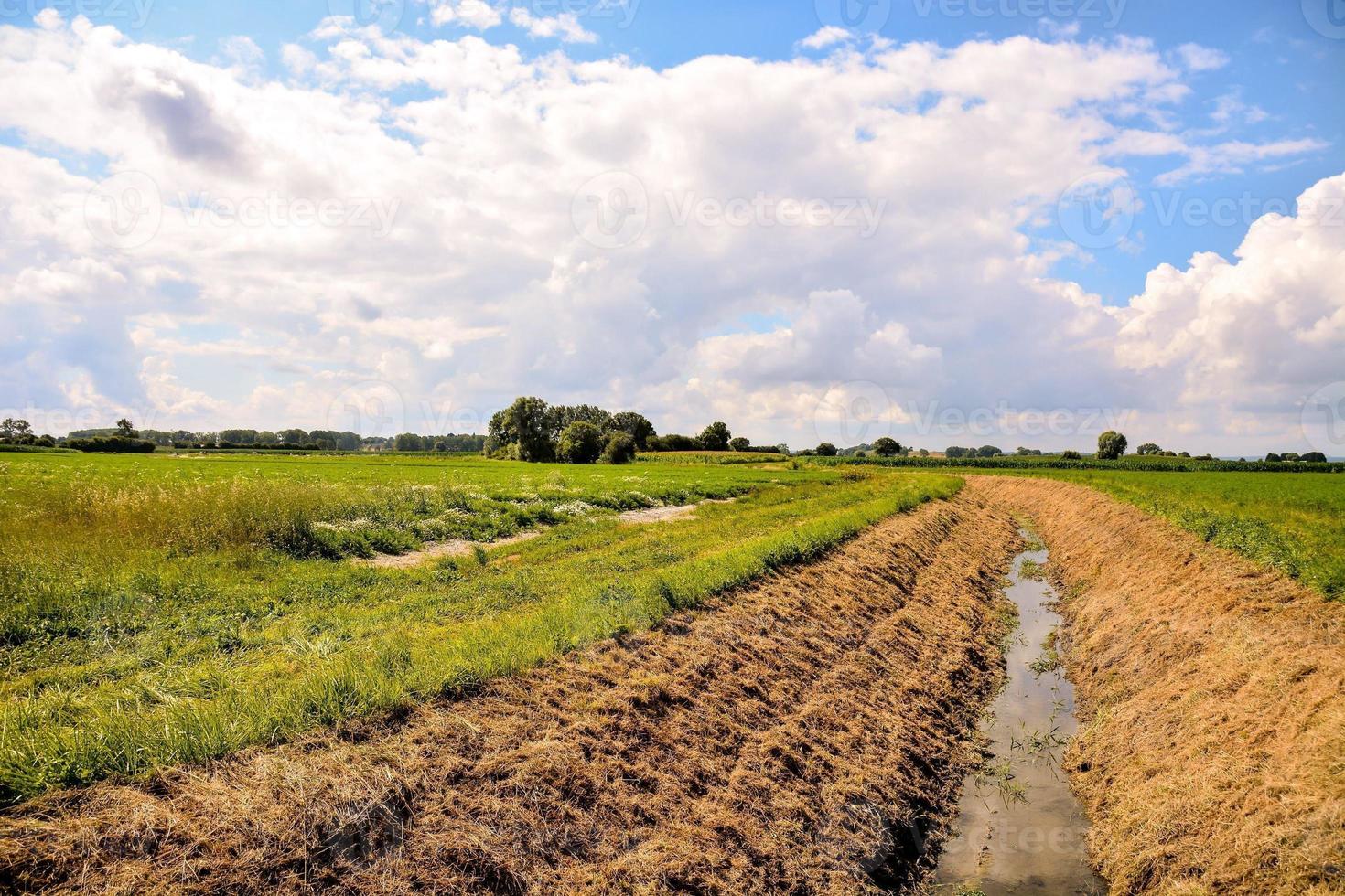 paesaggio rurale in estate foto