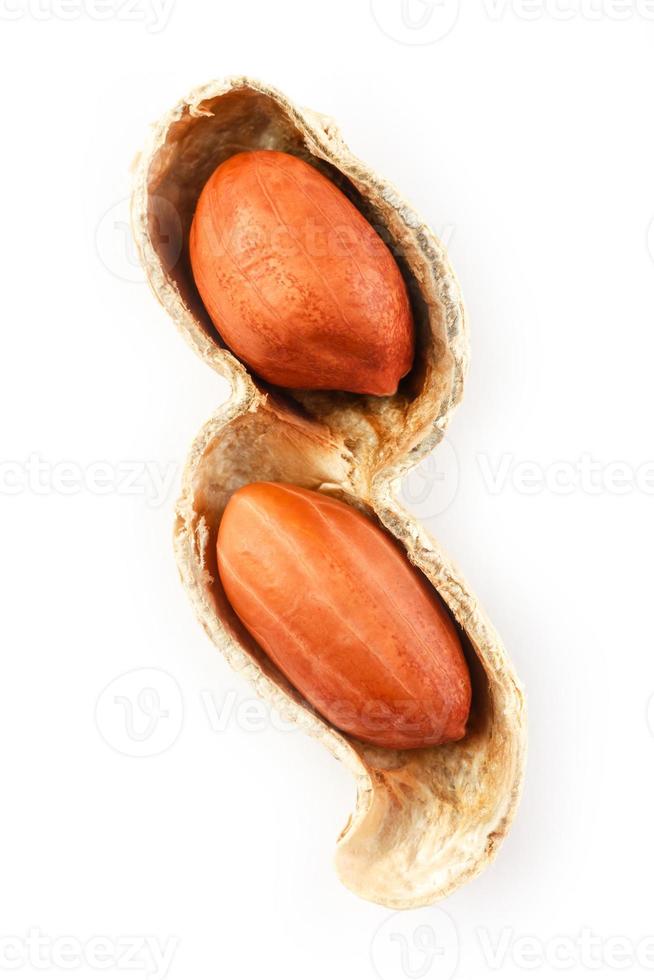 arachidi su un' pelato pannocchia, Due cereali isolato su bianca sfondo foto