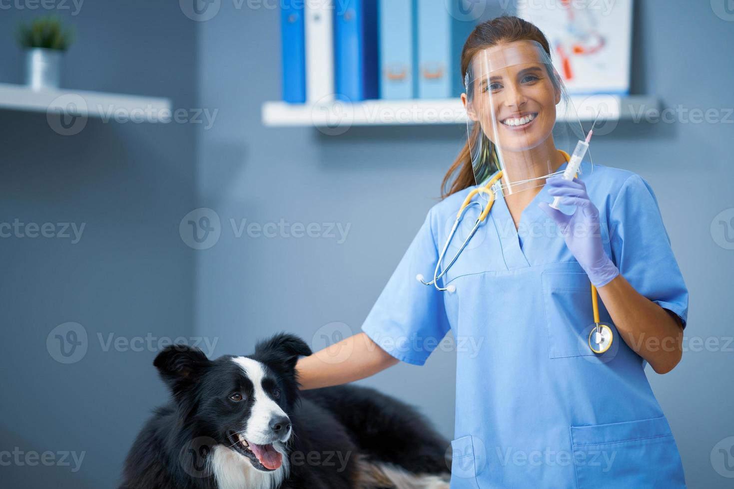 femmina veterinario vaccinazione un' cane nel clinica foto