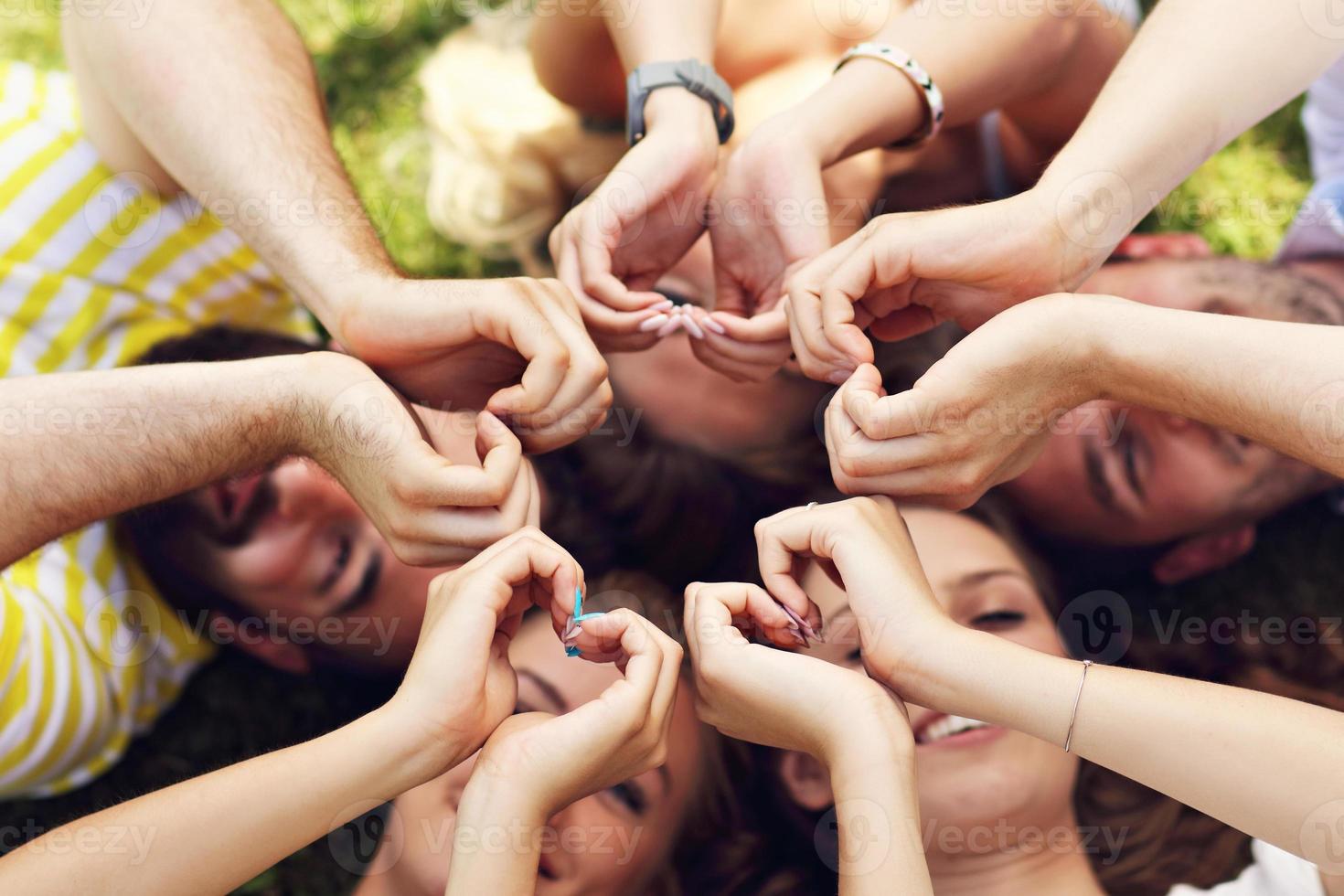 amici gruppo avendo divertimento insieme su erba foto