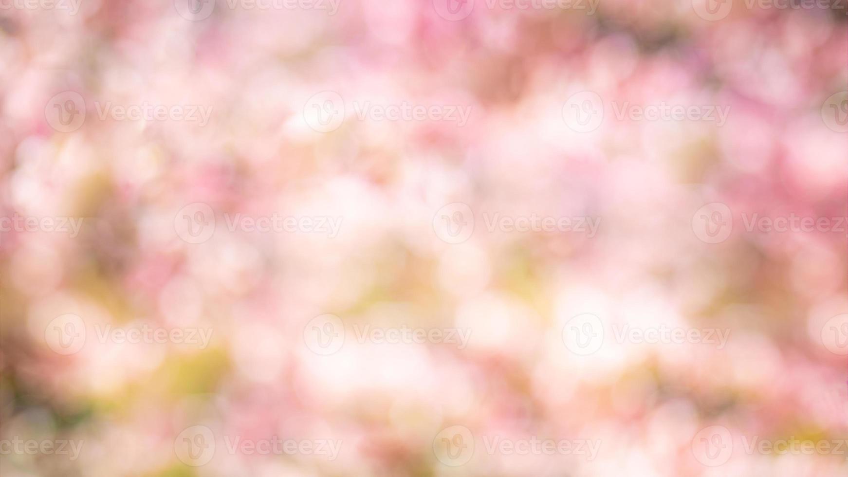 bellissimo sfocato primavera sfondo, colorato luminosa e artistico bokeh, fiori, fioritura allegro e freschezza concetto. primavera modello, colori, bellezza nel natura, di stagione sfocatura design foto