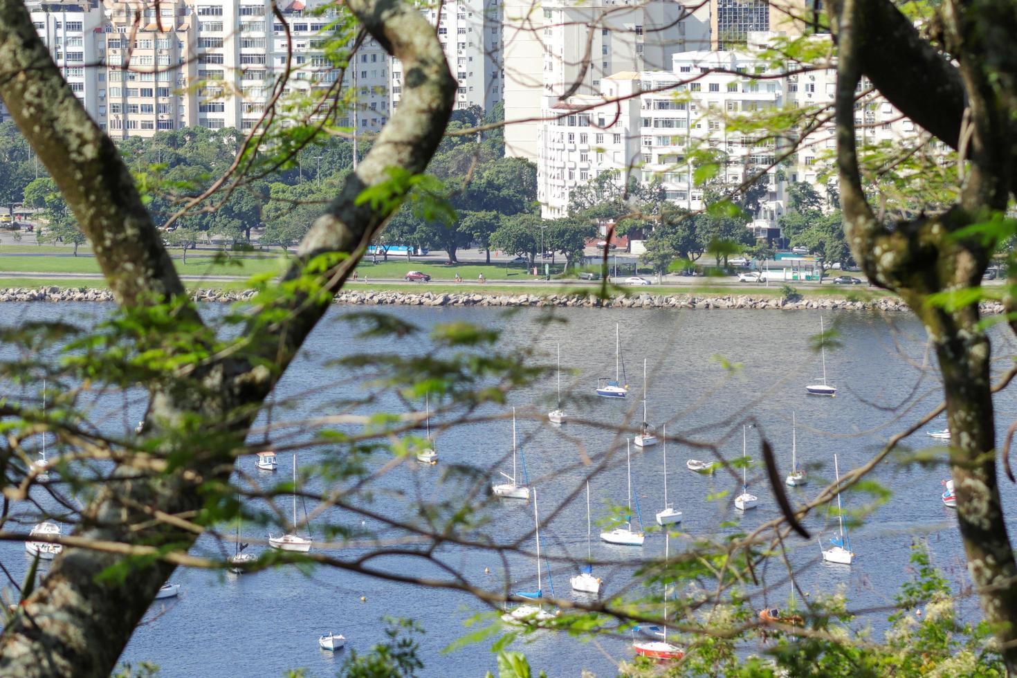 rio de janeiro, rj, brasile - 10h dicembre 2022 - bottafogo baia visto a partire dal pastado belvedere foto