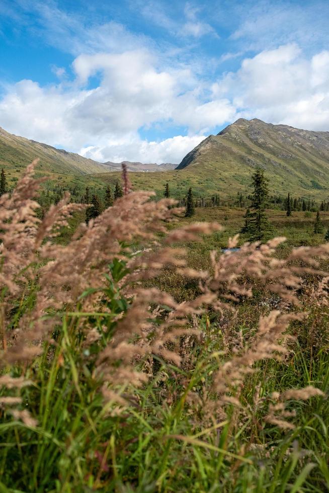 natura paesaggio nel alaska foto