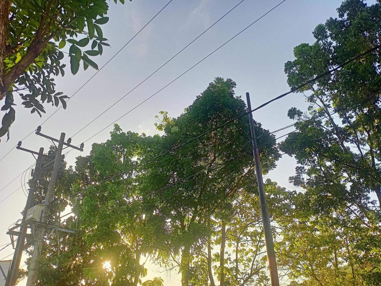 bellissimo naturale scenario durante il giorno foto