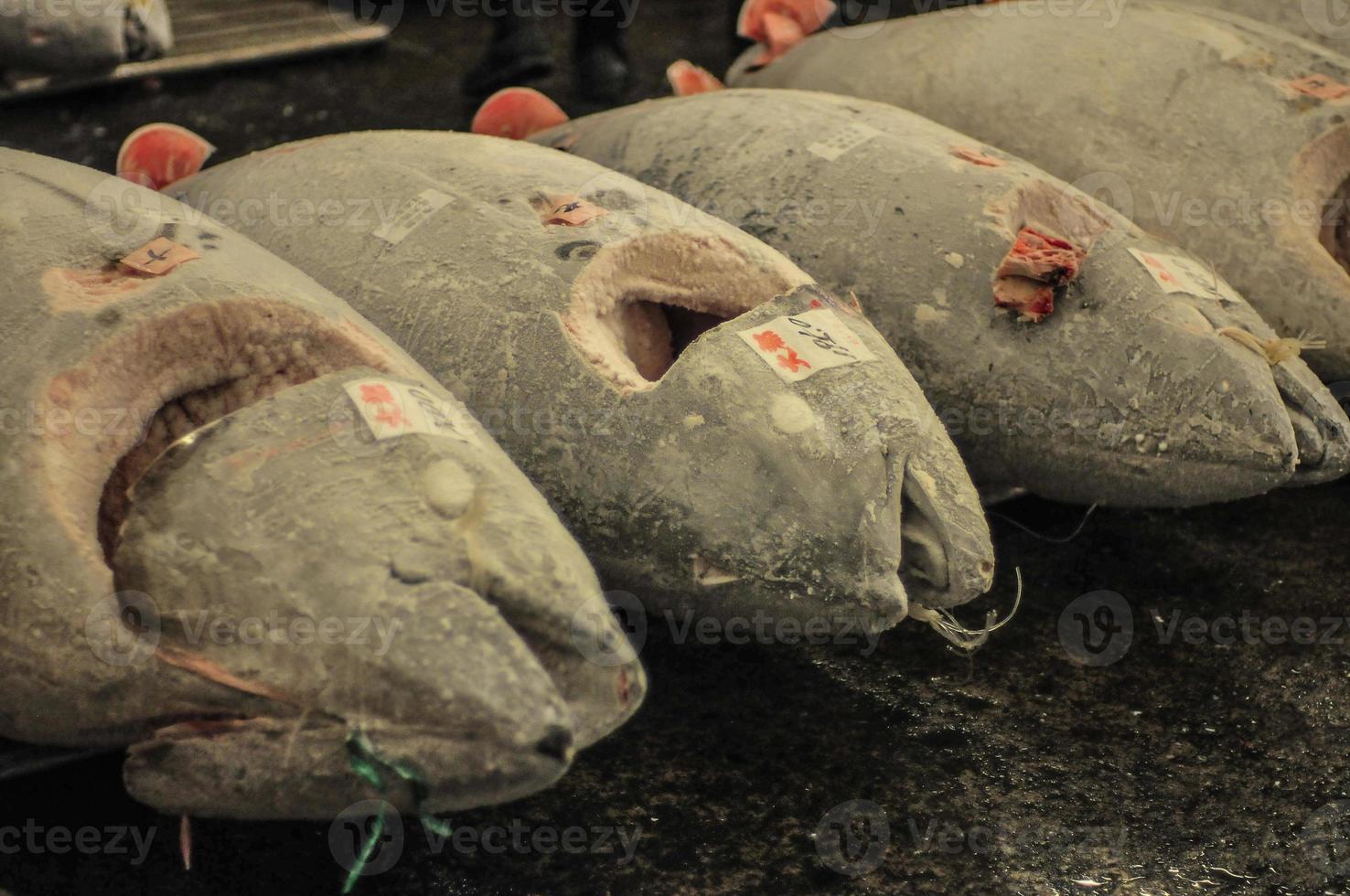 fresco tonno a partire dal il tokyo tsukiji pesce mercato. foto