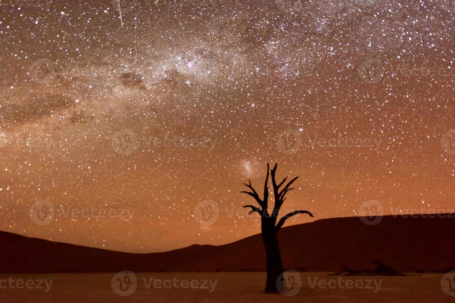 morto vlei, namibia foto