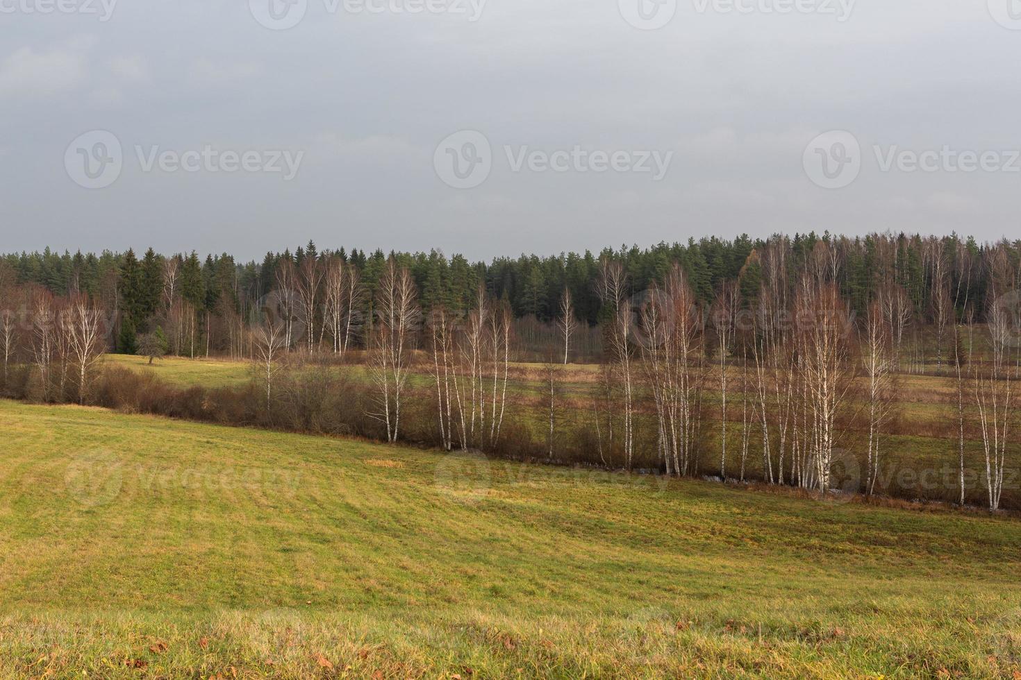 autunno paesaggi nel Lettonia foto