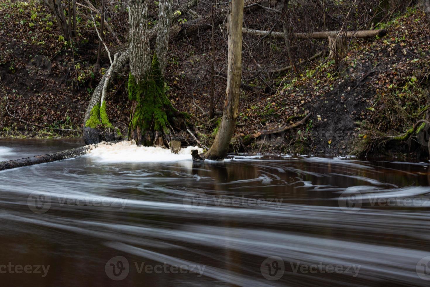 un' piccolo foresta fiume nel primavera foto