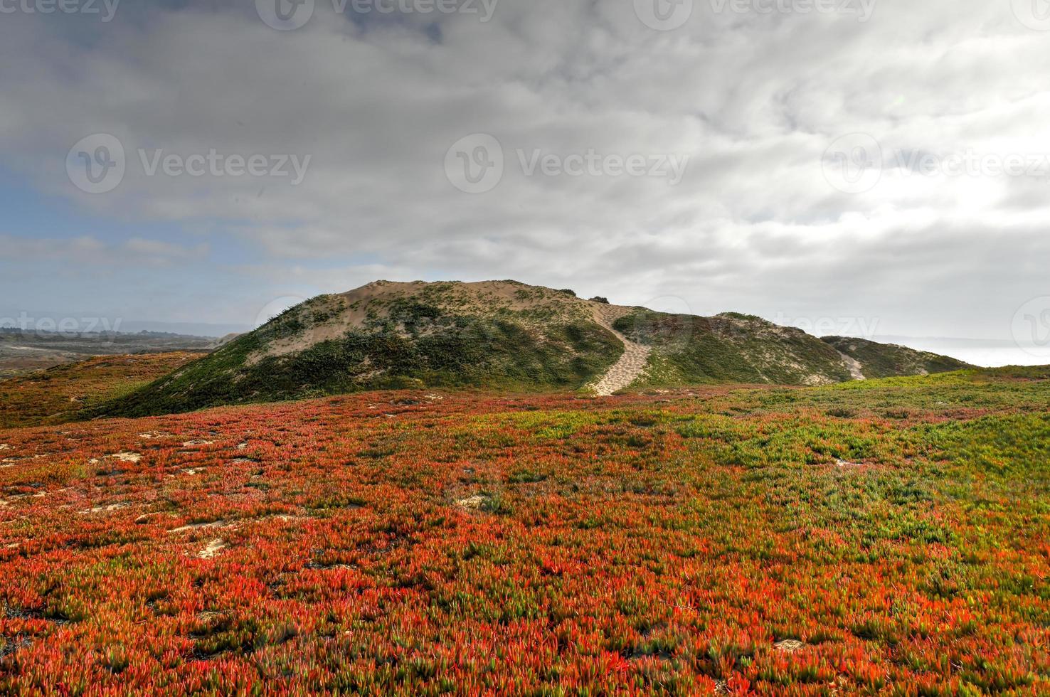 forte ord dune stato parco è un' stato parco nel California, unito stati, lungo 4 miglia di costa su monterey baia e creato a partire dal parte di il chiuso forte ord. foto