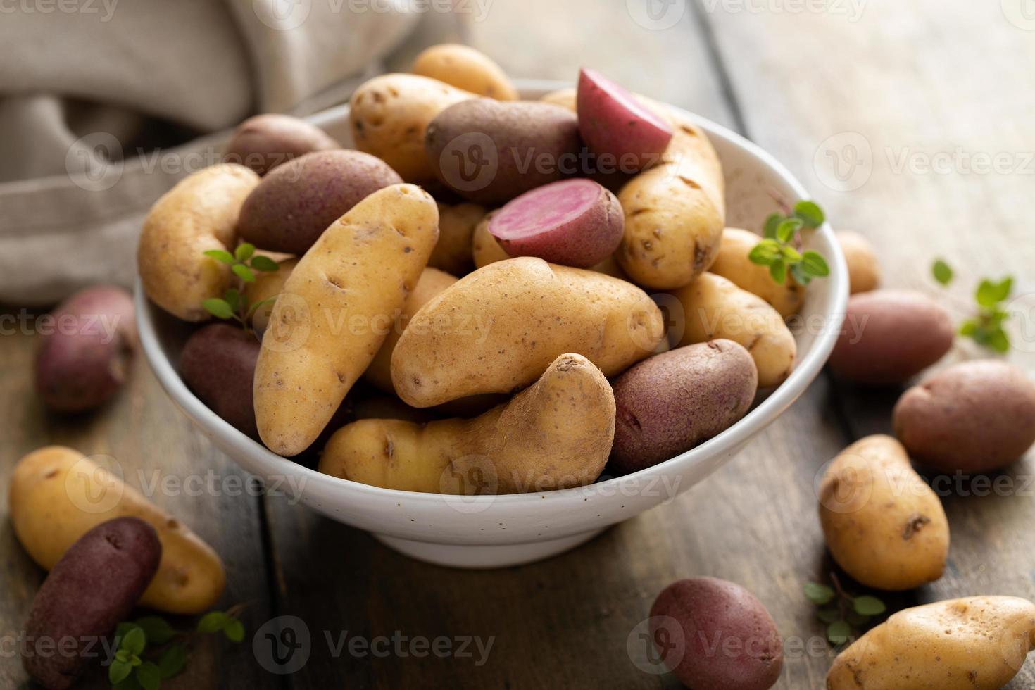 giallo e viola fingerling patate pronto per essere cucinato foto