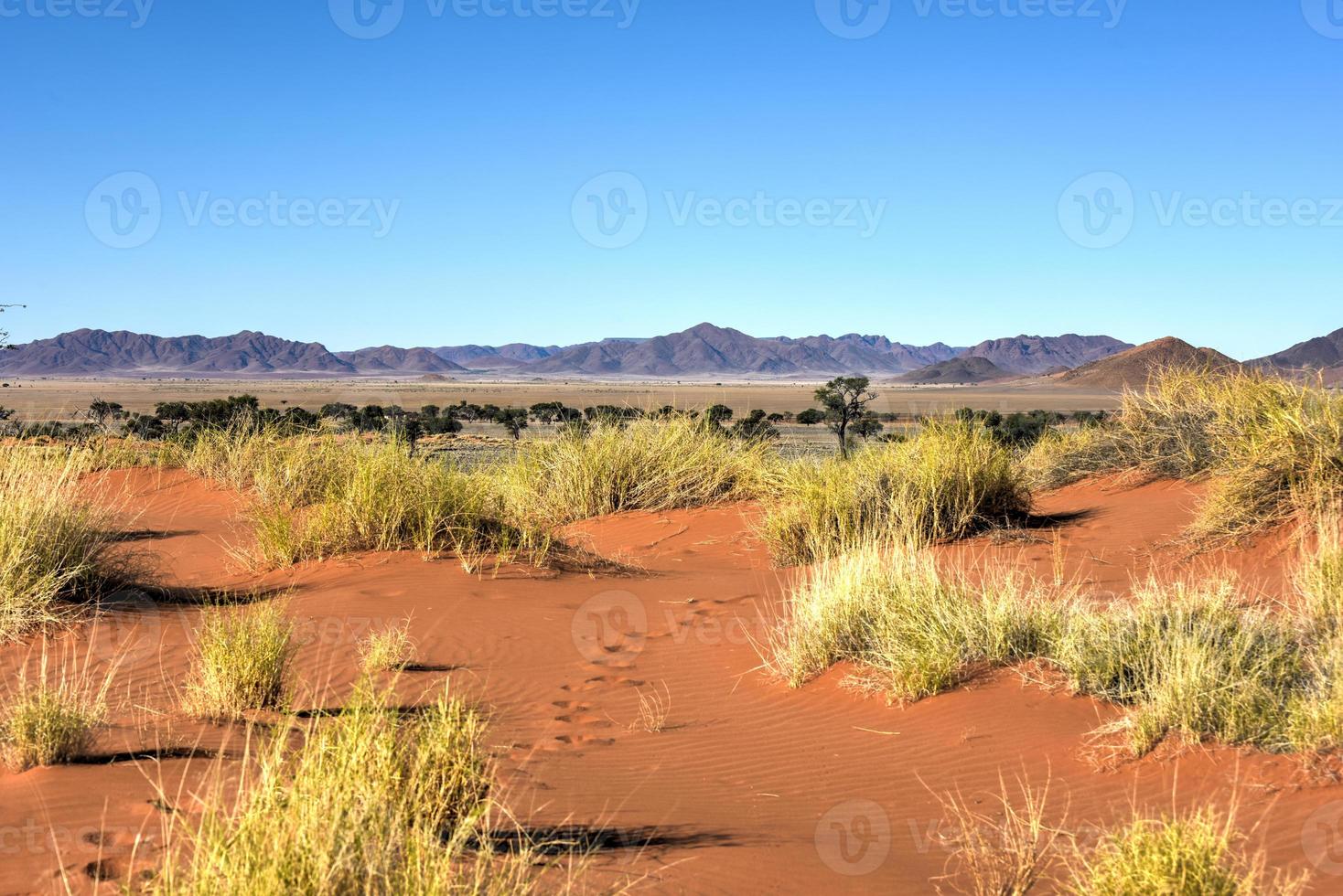 deserto paesaggio - namibrand, namibia foto