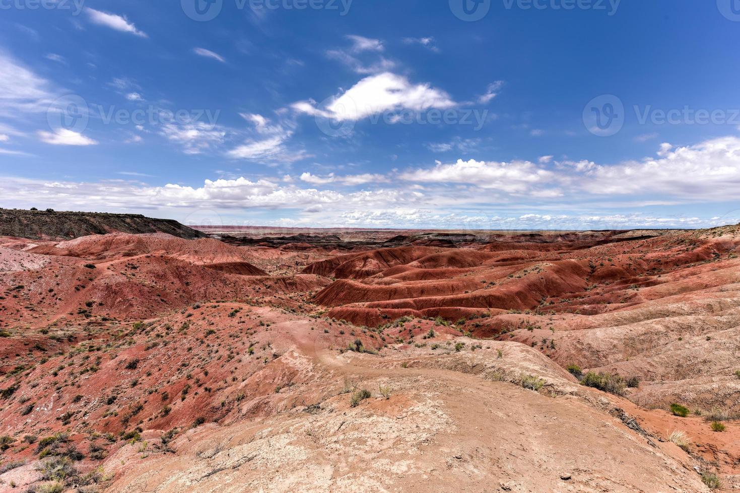 tiponi punto nel il pietrificato foresta nazionale parco nel Arizona. foto