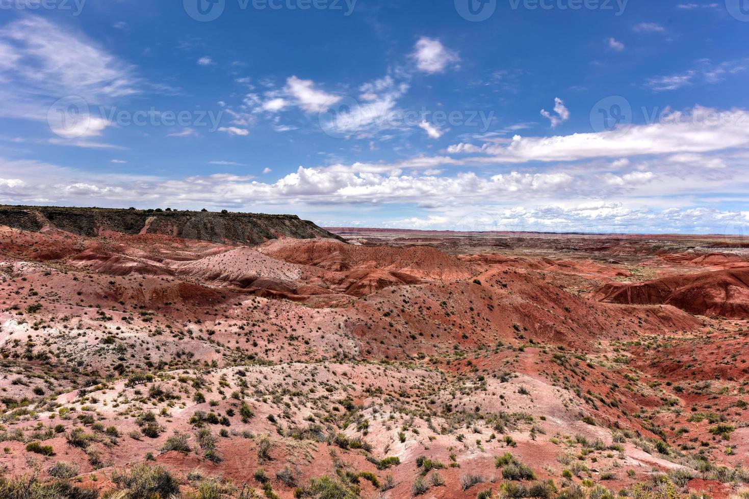 tiponi punto nel il pietrificato foresta nazionale parco nel Arizona. foto