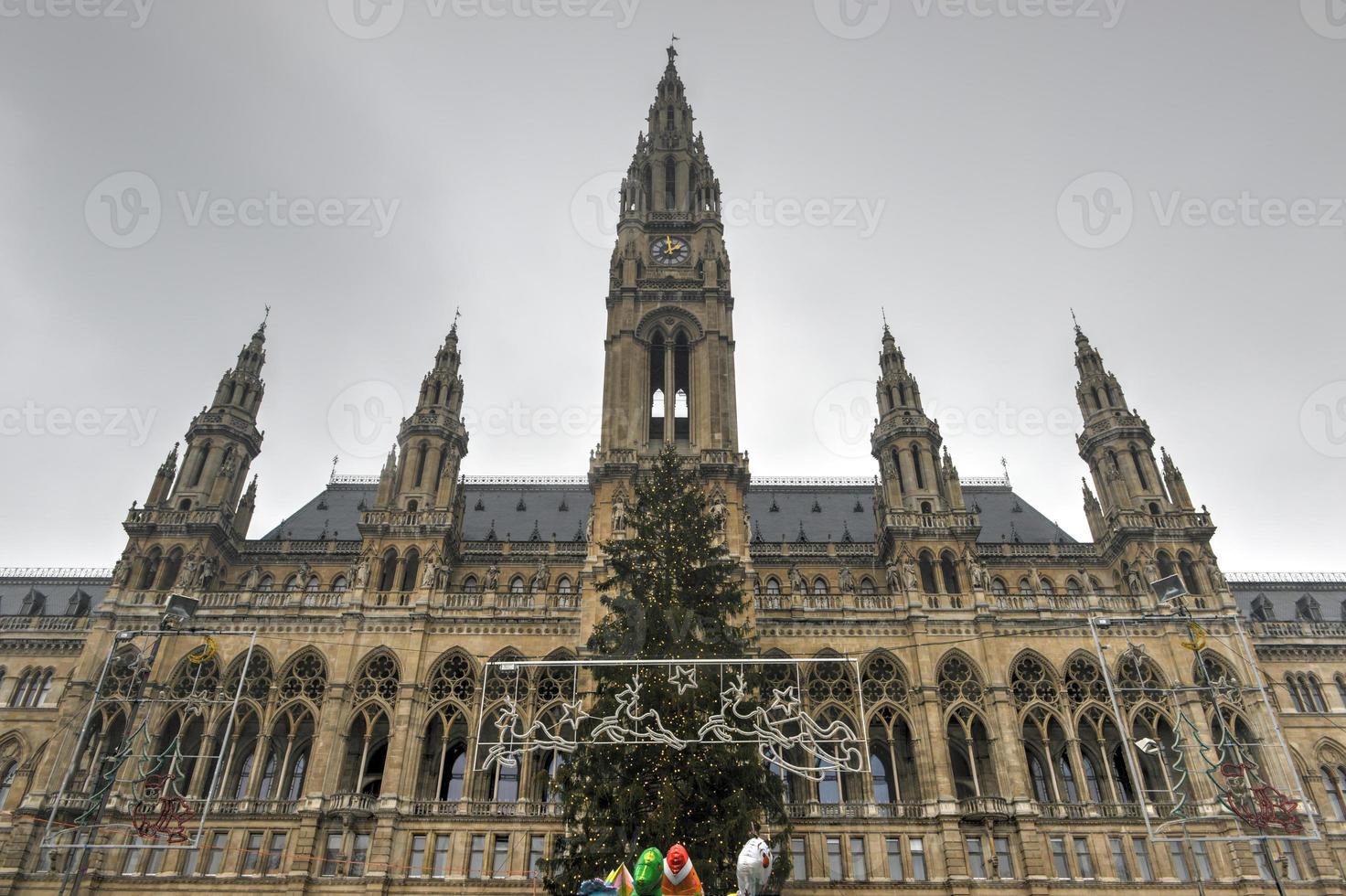 Rathaus edificio nel vienna foto