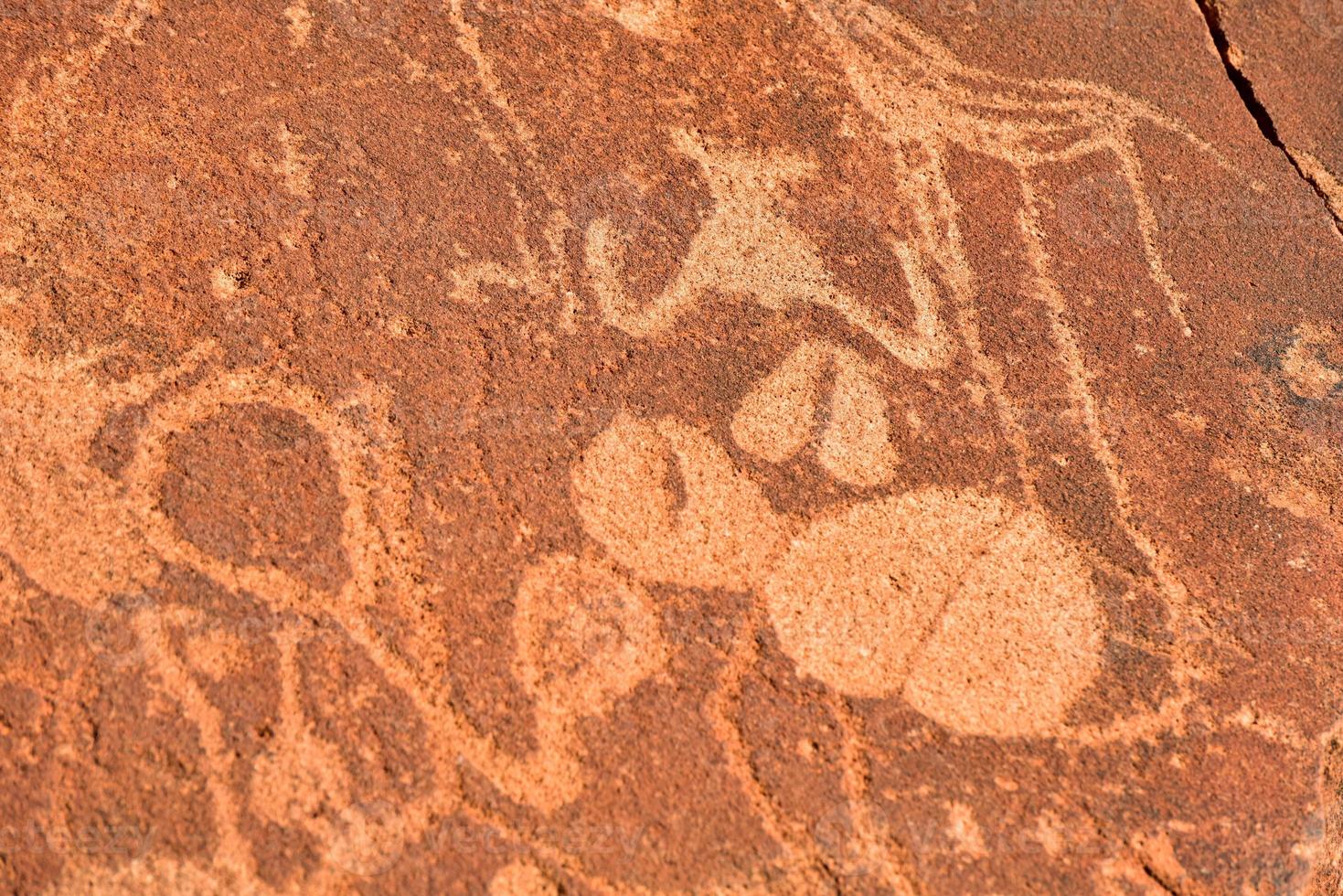 boscimano roccia incisioni - namibia foto