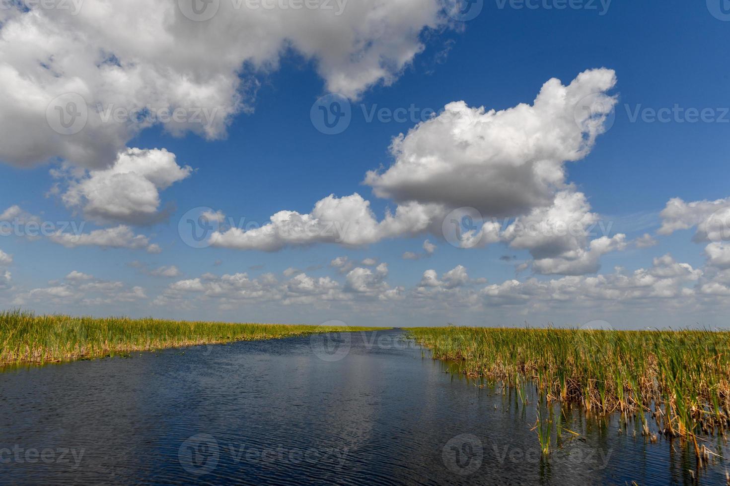 Florida zone umide nel il Everglades nazionale parco nel Stati Uniti d'America. popolare posto per turisti, selvaggio natura e animali. foto