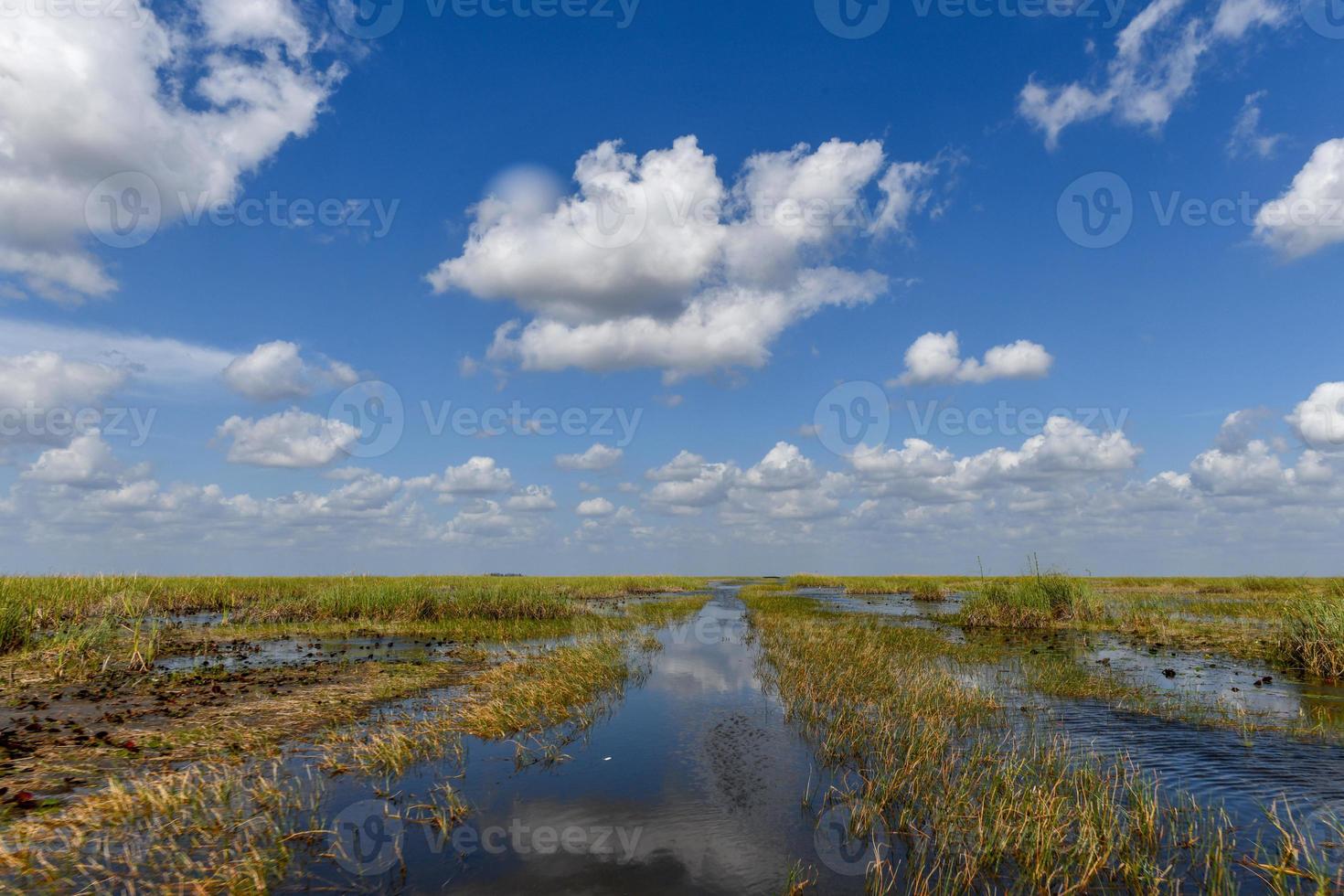 Florida zone umide nel il Everglades nazionale parco nel Stati Uniti d'America. popolare posto per turisti, selvaggio natura e animali. foto