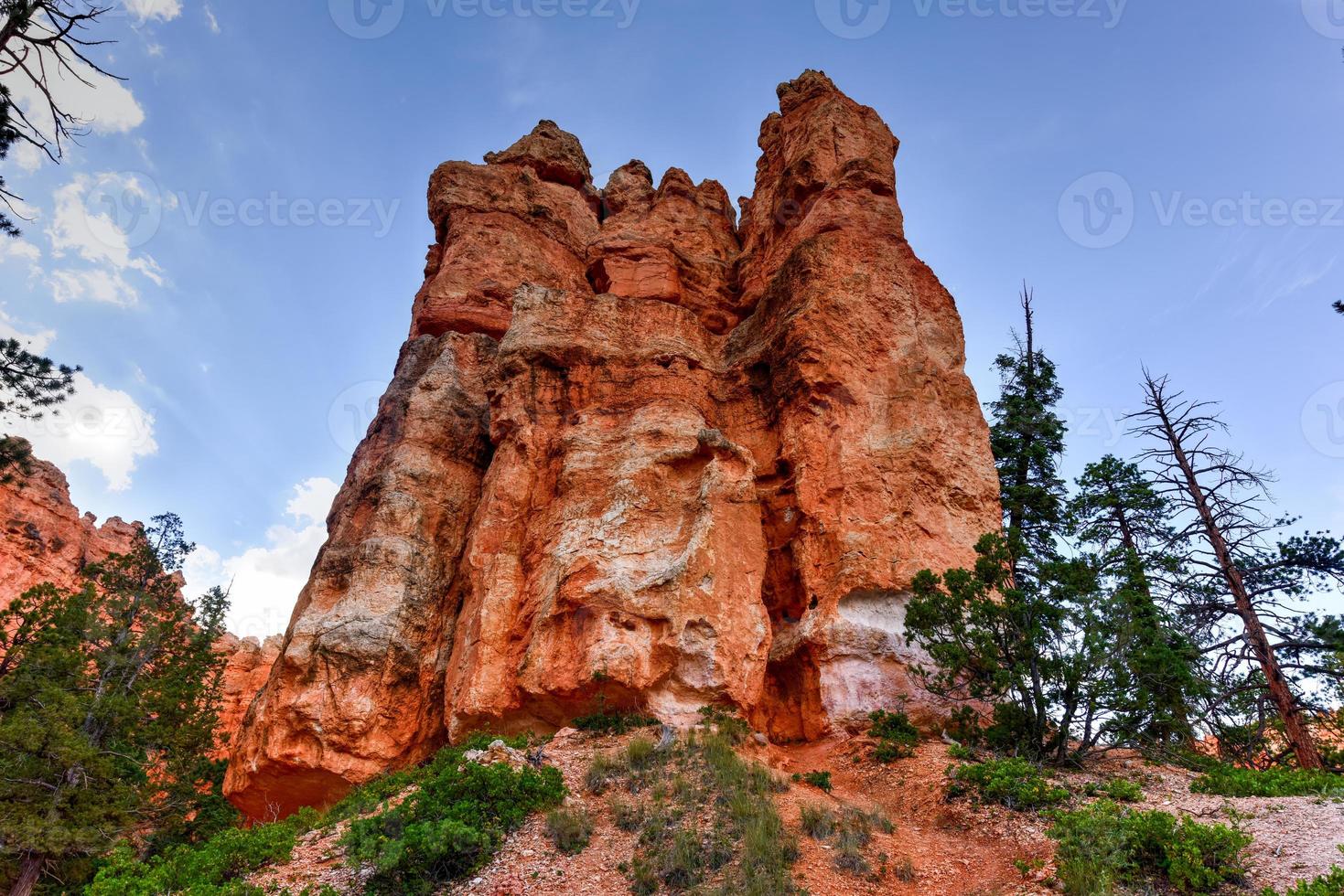 il anfiteatro nel bryce canyon nazionale parco nel Utah, unito stati. foto