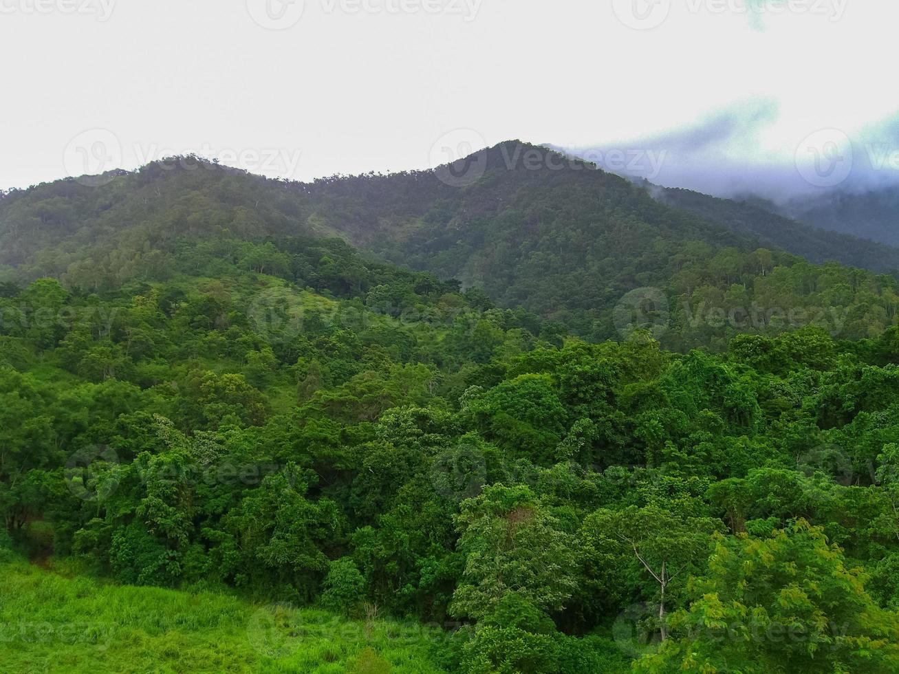 barone gola nazionale parco lungo il kuranda panoramico rotaia nel Australia. foto