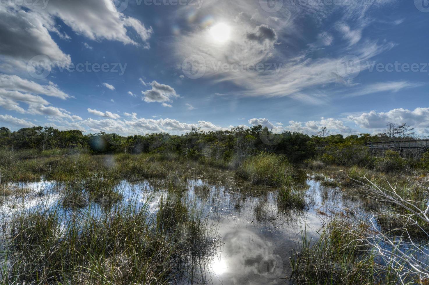 panoramico paesaggio Florida Everglades foto