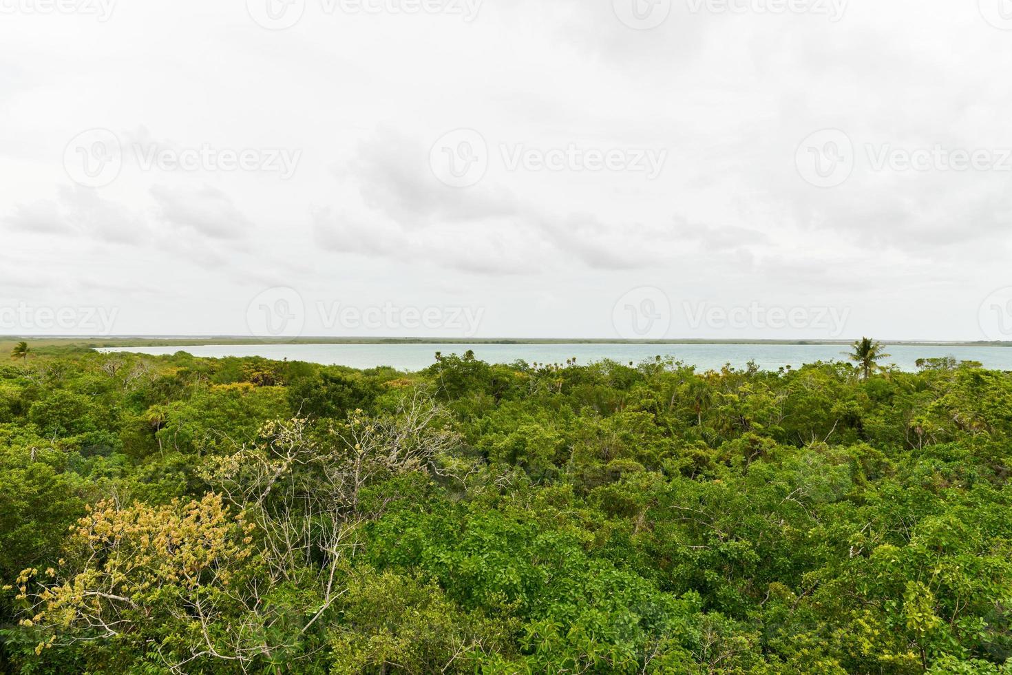 cima dell'albero Visualizza di il biosfera Riserva sian ka'an, quintana roo, Messico foto