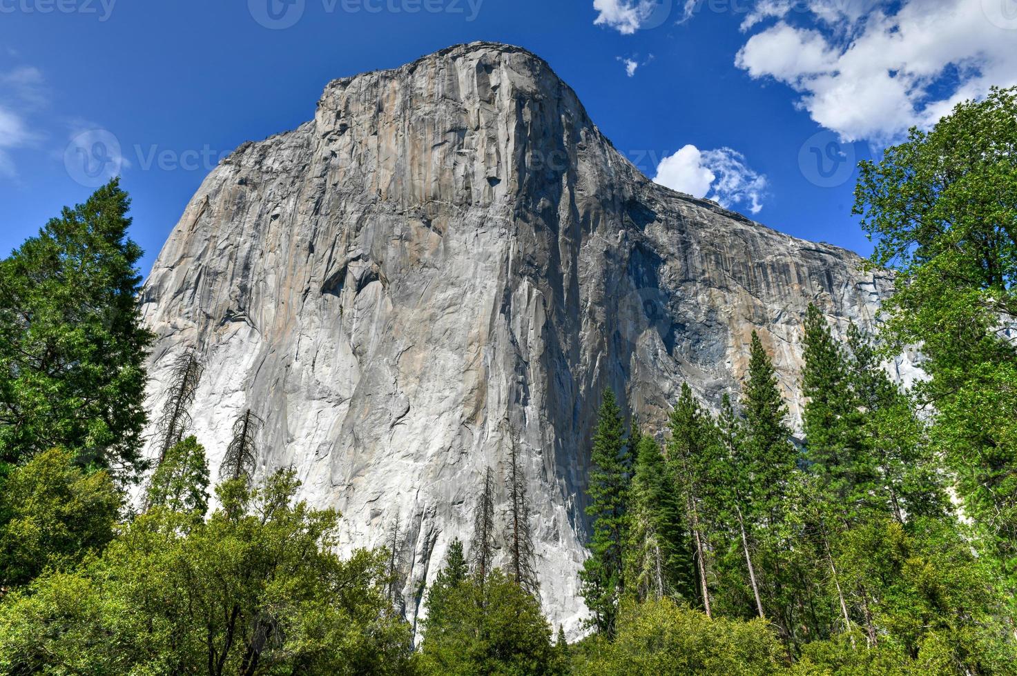 EL capitano torreggiante sopra il valle pavimento nel Yosemite nazionale parco, California, Stati Uniti d'America foto
