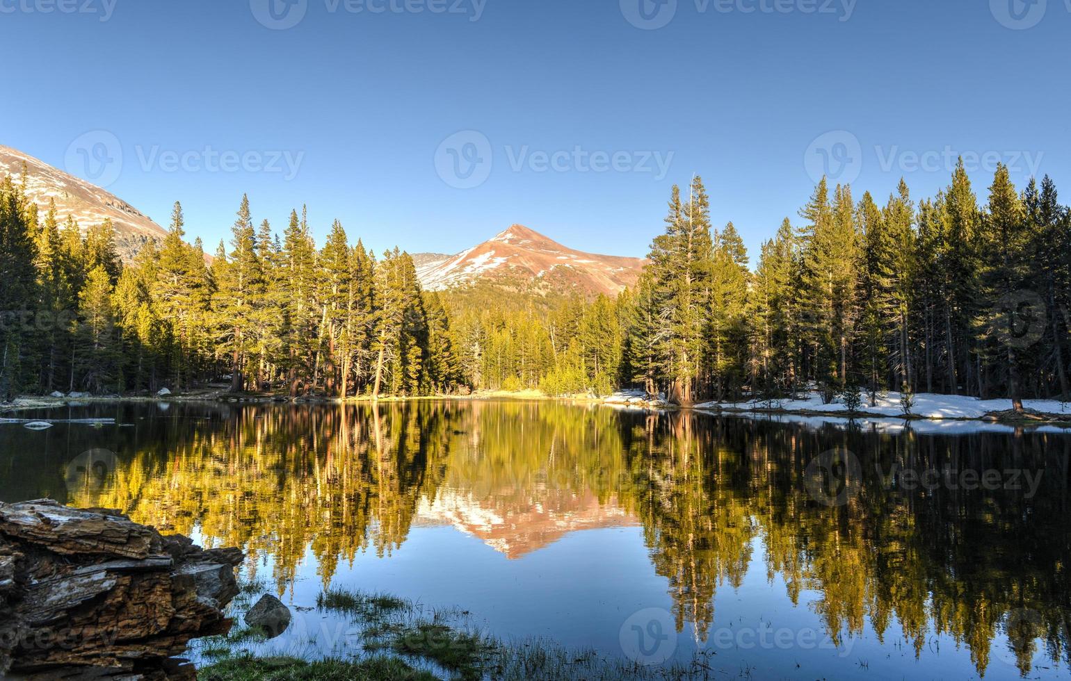 tuolumne prati, Yosemite parco foto