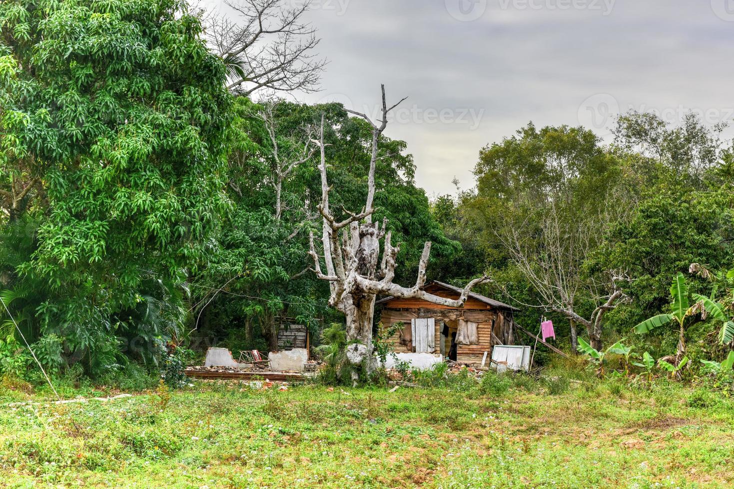 rurale Casa su un' azienda agricola nel vinali, Cuba. foto