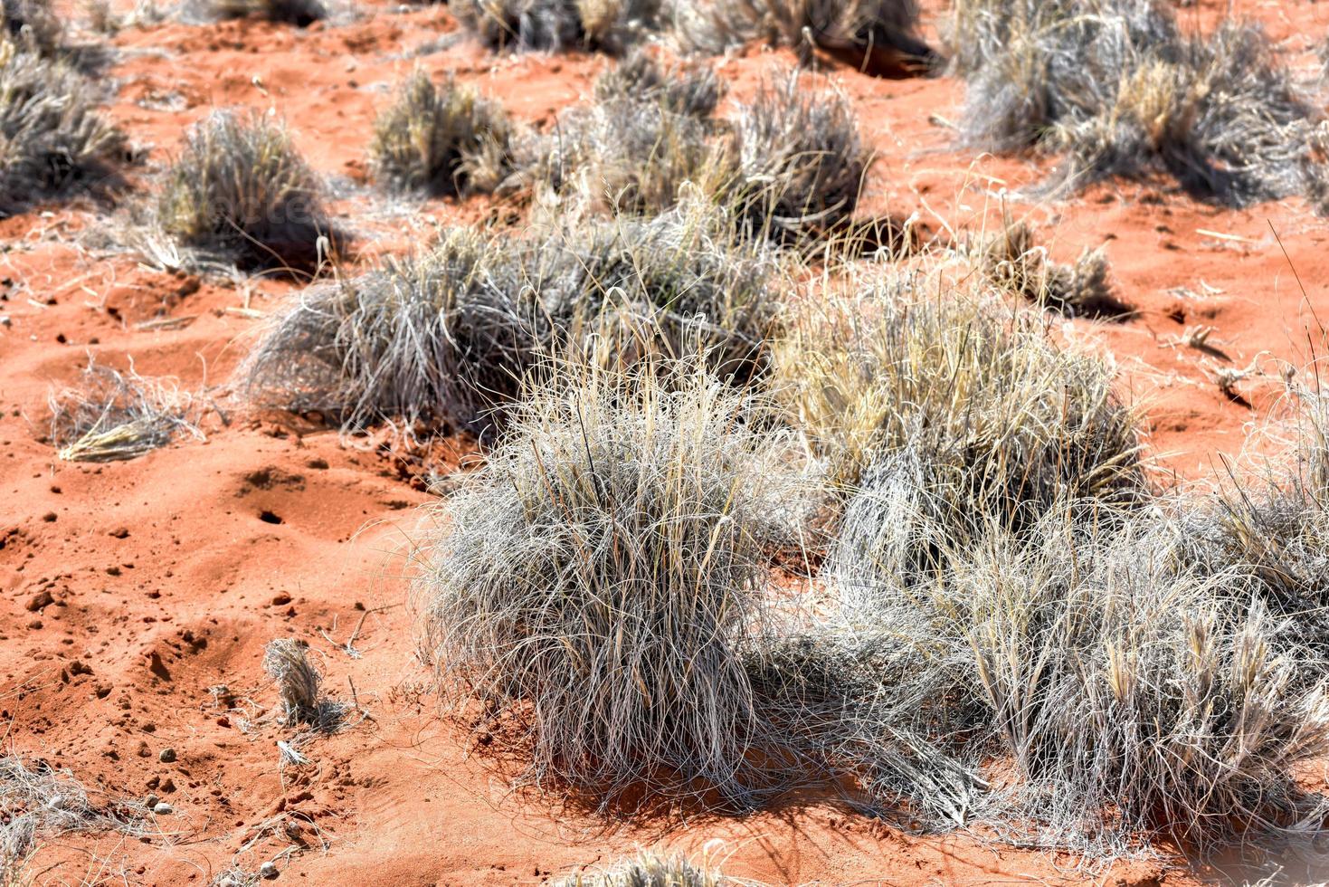 deserto paesaggio - namibrand, namibia foto