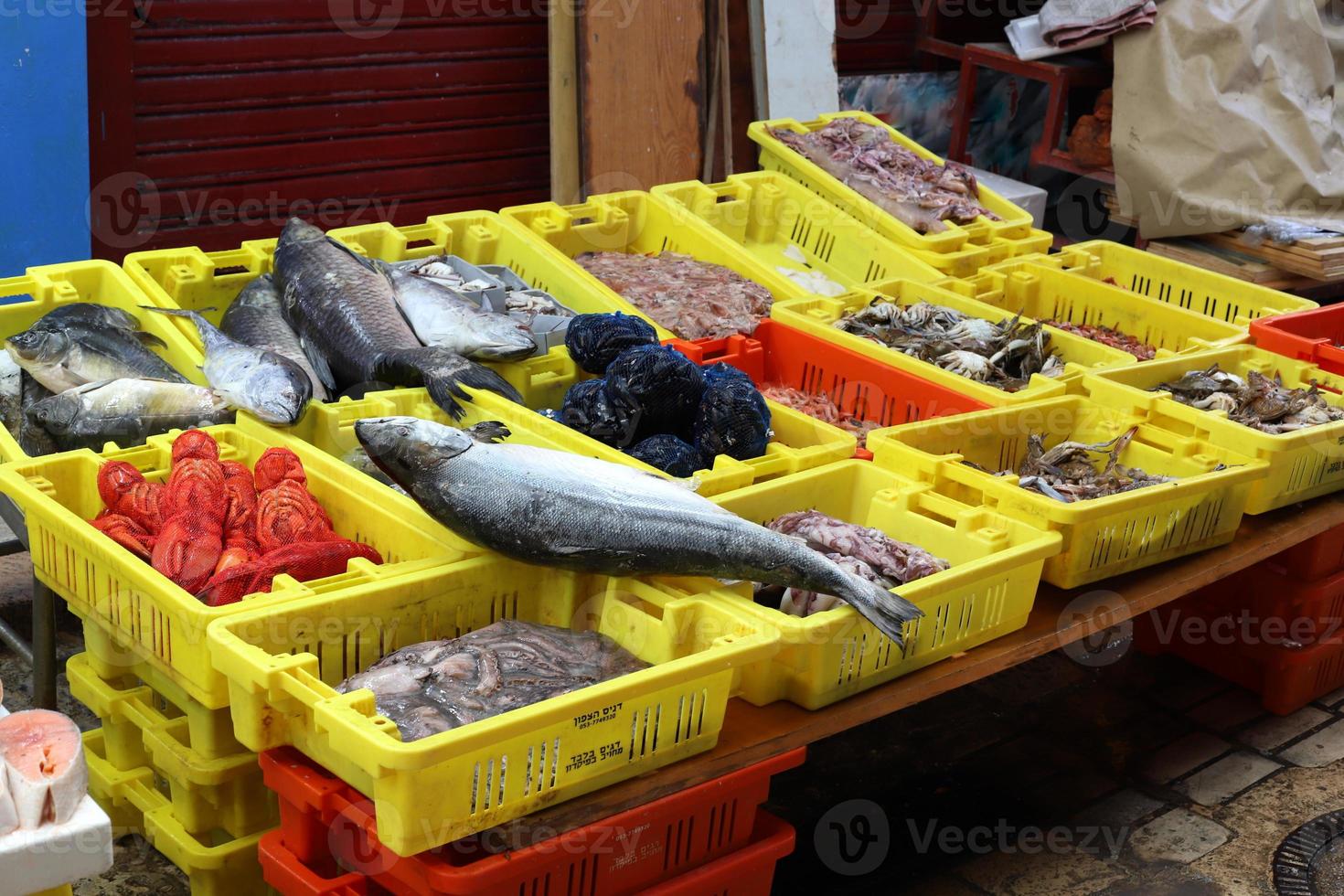 fresco pesce è venduto a un' bazar nel Israele. foto