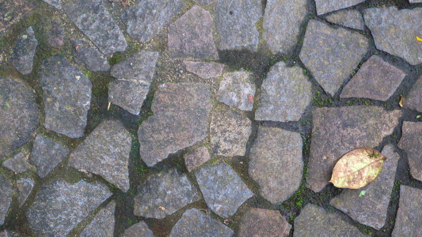 ciottolo sentiero con caduto le foglie. come sfondo foto