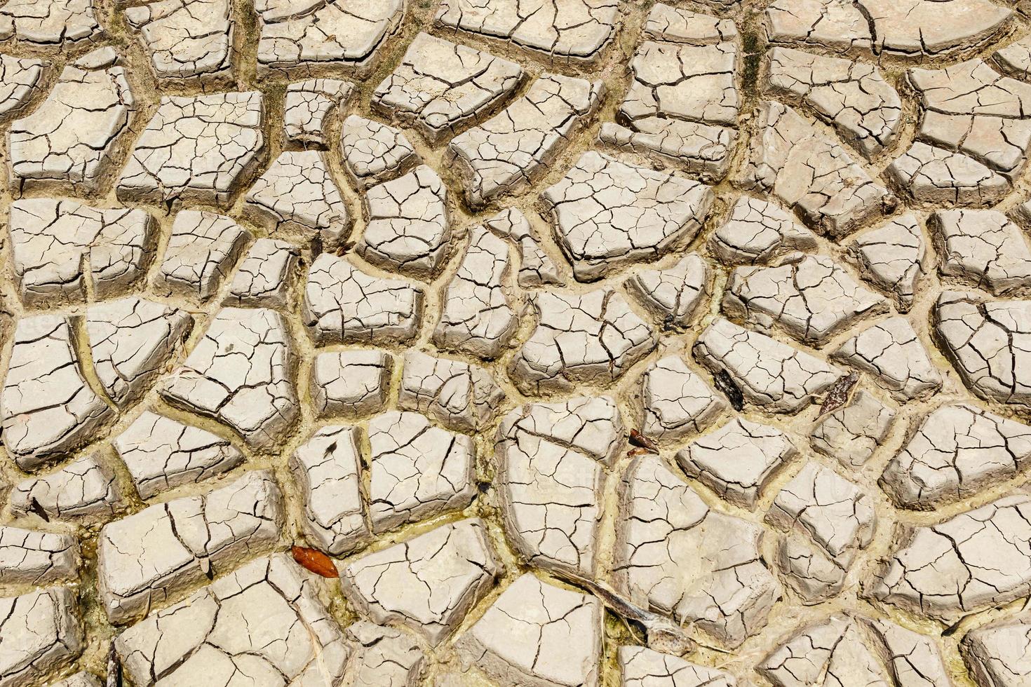 asciutto lago letto. siccità terra con crepe. foto