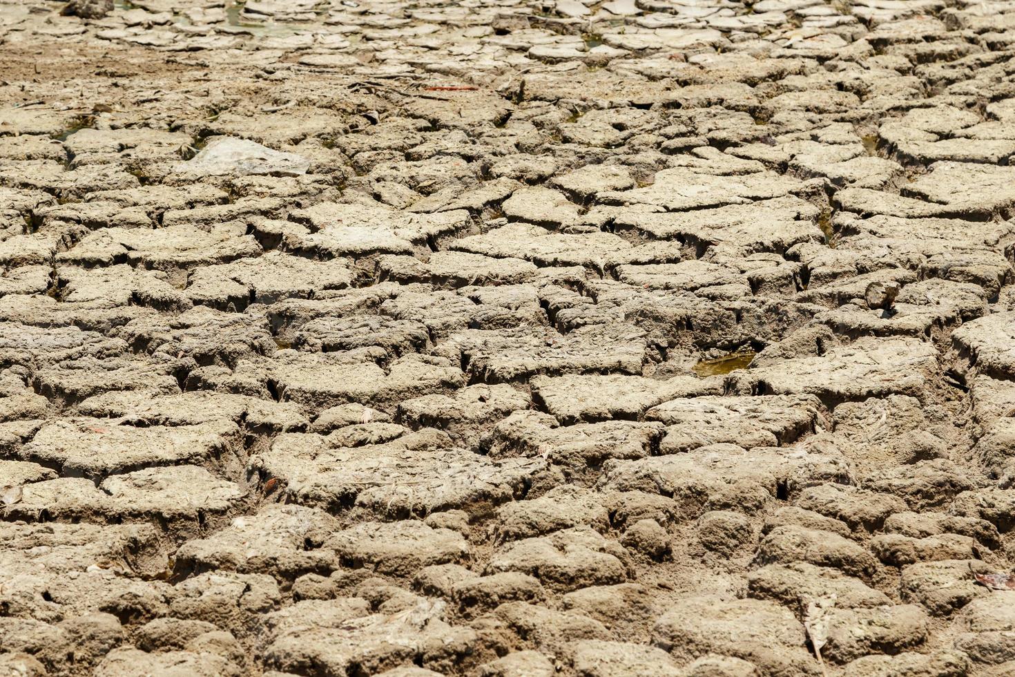 asciutto lago letto. siccità terra con crepe. foto