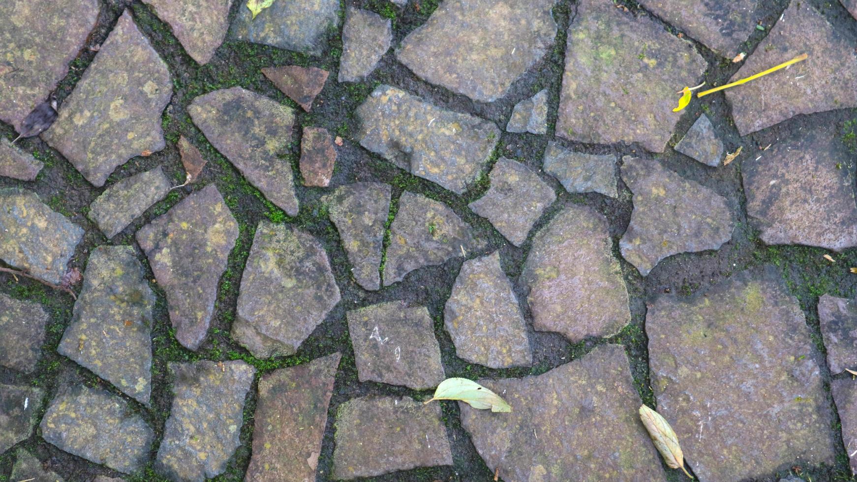 ciottolo sentiero con caduto le foglie. come sfondo foto