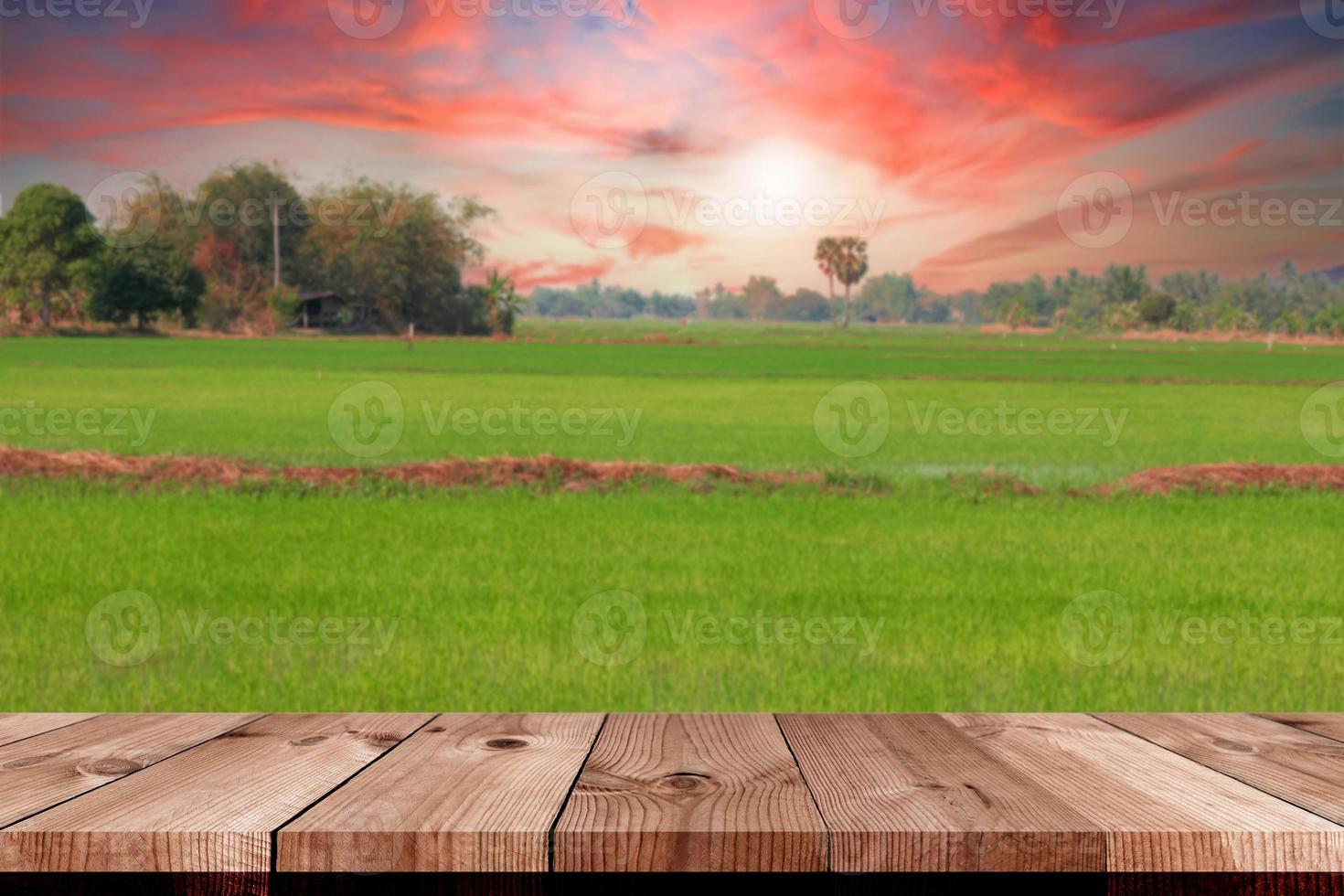 prospettiva di legno tavola al di sopra di riso campo foto