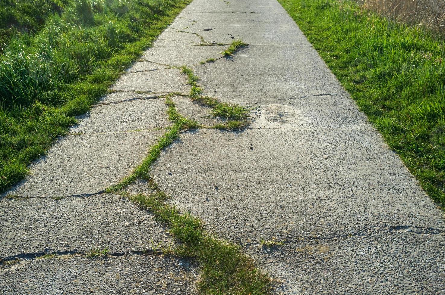 vecchio calcestruzzo sentiero con crepe e coperto di vegetazione con erba, Usato per Ciclismo o a passeggio. foto