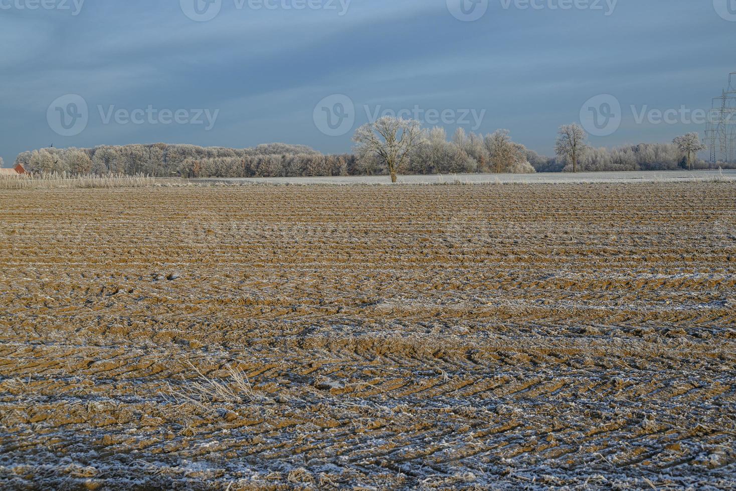 inverno tempo nel Germania foto