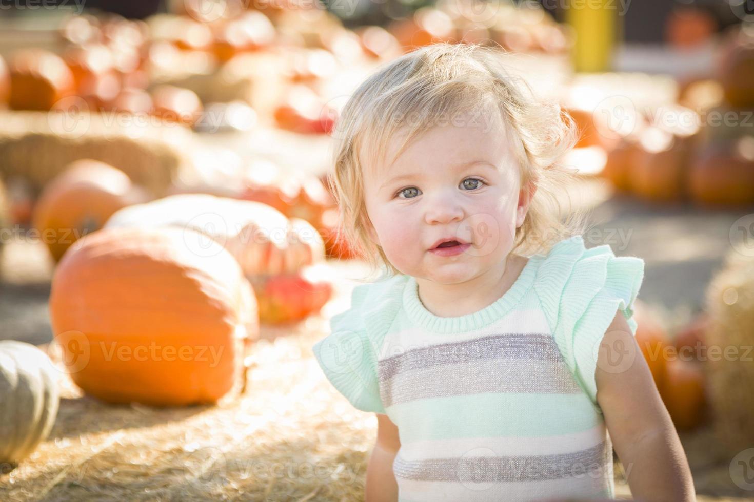 adorabile bambino ragazza avendo divertimento a il zucca toppa foto