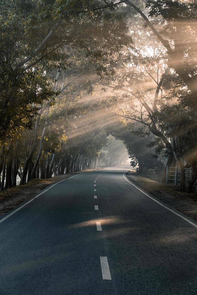 il Alba come esso sorge nel il nebbioso mattina di inverno foto