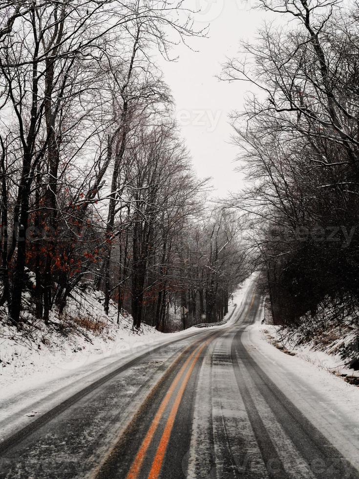 neve coperto strada e alberi foto