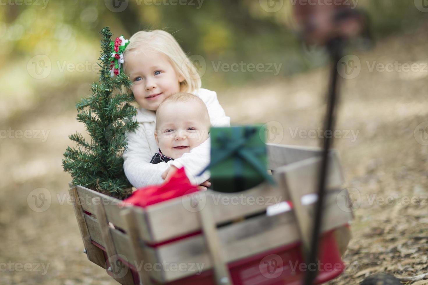 bambino fratello e sorella tirato nel carro con Natale albero foto
