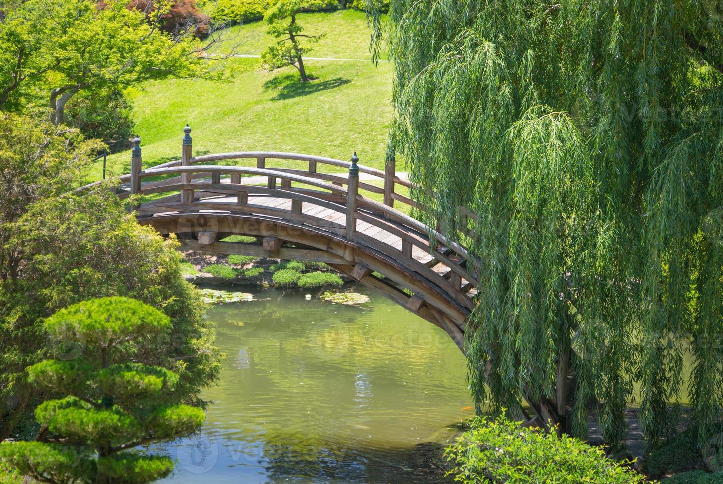 bellissimo giapponese giardino con stagno e ponte. foto