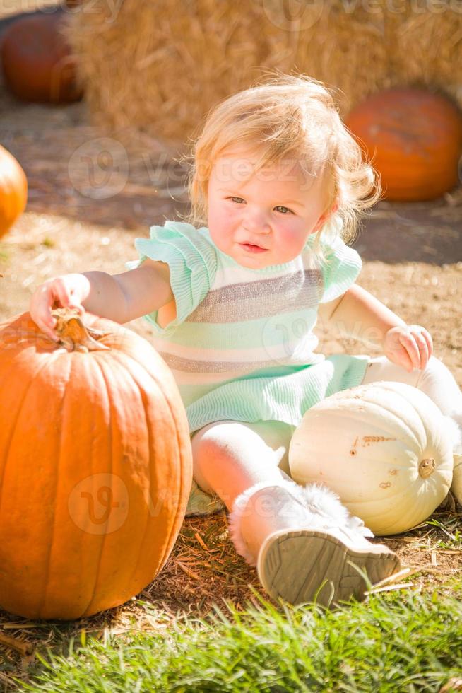 adorabile bambino ragazza avendo divertimento nel un' rustico ranch ambientazione a il zucca toppa. foto