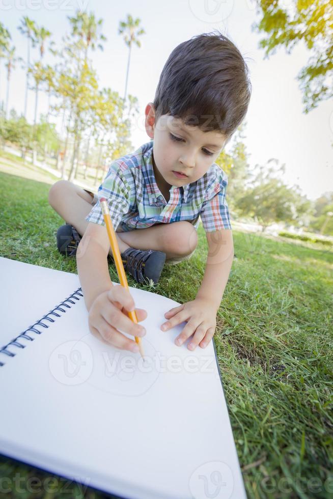 carino giovane ragazzo disegno all'aperto su il erba foto